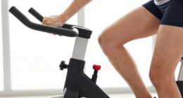 bike seat and handlebar adjustments