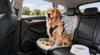 comfortable pet travel tips