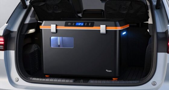 top 12v car cooler freezers