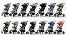 top lightweight premium travel strollers