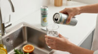 12 Best Canned Spritz Drinks in 2026