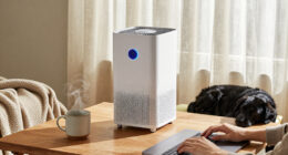 15 Best Portable Air Purifiers for Allergies in 2027