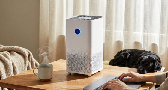 15 Best Portable Air Purifiers for Allergies in 2027